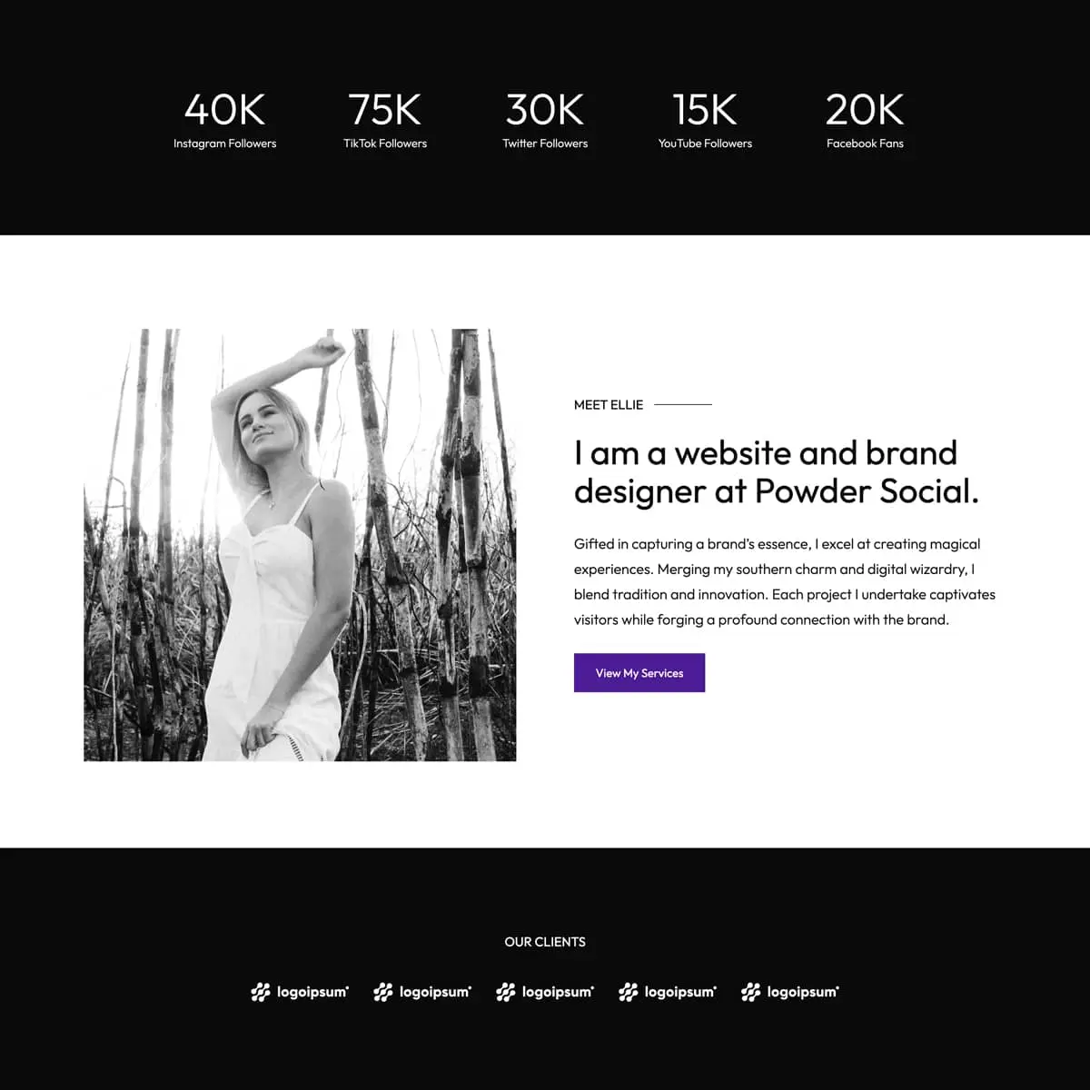Powder Social WordPress theme home page